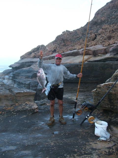 kalbarri cliff pinks2